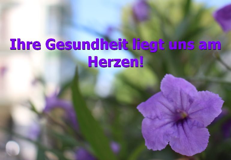HCHS lullt Hamburg ein