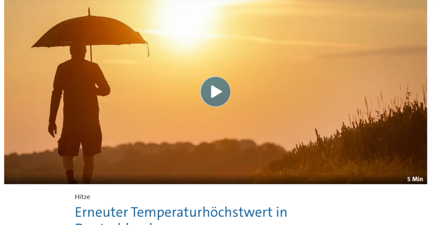 Bilder vom Sommer 2026